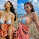 제시 카카오 검색결과