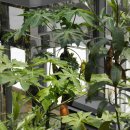 화명초등학교 이미지