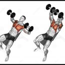 드림 P&T 이미지