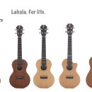 우쿨렐레(중급) 이미지