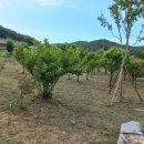 내남농장 이미지