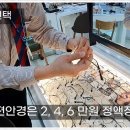 기독안경원 네이버블로그