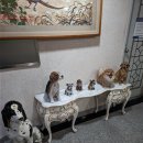 샌디아모텔 이미지