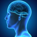 라이징PT 이미지