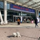 (주)열린세상 | 2025 일산 킨텍스 케이펫페어 메가주 추천