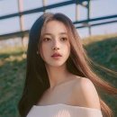 디셈버 이미지
