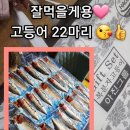 2025 이천문화재단 첨단과학교육도시 이천시 응원 및 이천도자기축제기념 파크콘서트 | 공연 퓨전플룻 / 팝 플루티스트 서가비 공연후기 공연영상 축하공연 축제공연 행사공연 기업공연 식전...