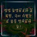 정암 요양보호사교육원 이미지