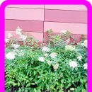 공인중개사사무소담장 이미지