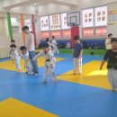 강한태권도장 이미지