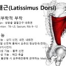짐 오늘 이미지