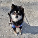 퀸즈승마장 이미지