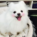 포쉬네일구월점 이미지