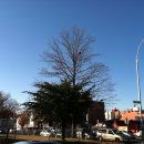 한 웅큼의 빛 이미지