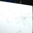 보타니컬아트(식물세밀화) 이미지