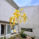 제주보홀 이미지