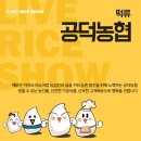 라이스일번지