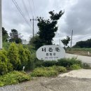 너른뜰