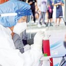 거제-거제-거제-비상-10 이미지