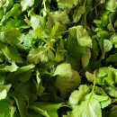 동천농장 이미지