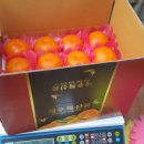 수아농원 이미지