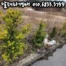케이앤피나노 네이버블로그