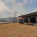 스테이 클래시 이미지