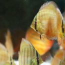 동글동글 이미지