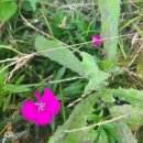 초대박부동산공인중개사사무소 이미지