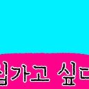 어쩔댕댕 네이버블로그