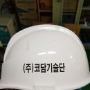 코담기술단주