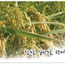 정명농장 이미지