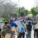 순천만 어싱길 맨발 걷기대회 이미지