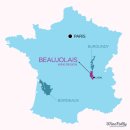 프랑스 부르고뉴(Bourgogne) 와인 지도 & 보졸레(Beaujolais) 위치 & 피노누아 벨트(Pinot Noir Belt) 이미지