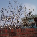 조리읍사무소 이미지