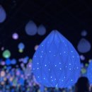 아르떼뮤지엄 이미지