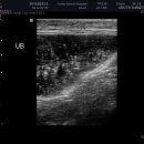 죽전예담동물병원 이미지