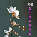 3월 13일 출석부입니다 이미지