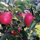 선재농장 이미지