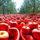 청송나무집 이미지