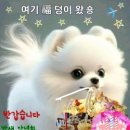 고기싸롱 이미지