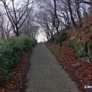 구 진해요항부 사령부 | 경남 진해 천자봉-시루봉-웅산 벚꽃축제 첫날의 봄맞이 산행(2024.3.23)