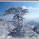 제33회 제왕산 (비박,일요산행) 2011년12월04일 이미지