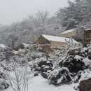 월드니스 이미지