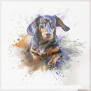 바우동물병원 | 대구 동물병원 추천 변비 치료 상담 후기 바우와우