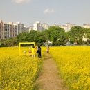 시외버스터미널 옆 이미지