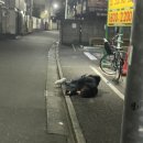 엔투호텔(N2호텔) | [일본 유학 D+8~10 ] 일본어학교 레벨테스트 결과 /첫 일본 라멘집 알바 / 만우절 장난 / 주저리