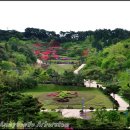 안면도자연휴양림 이미지