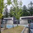 신남재래시장 | 봉평가볼만한곳/봉평5일장[매월2일7일] 올챙이국수 수수부꾸미 메밀꽃밭 인생샷