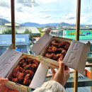 나는 닭강정이다 | 경주 나들이 아이랑 황리단길 맛집 경주대게닭강정 포장 후기